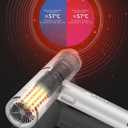 Professional Ionic Hair Dryer