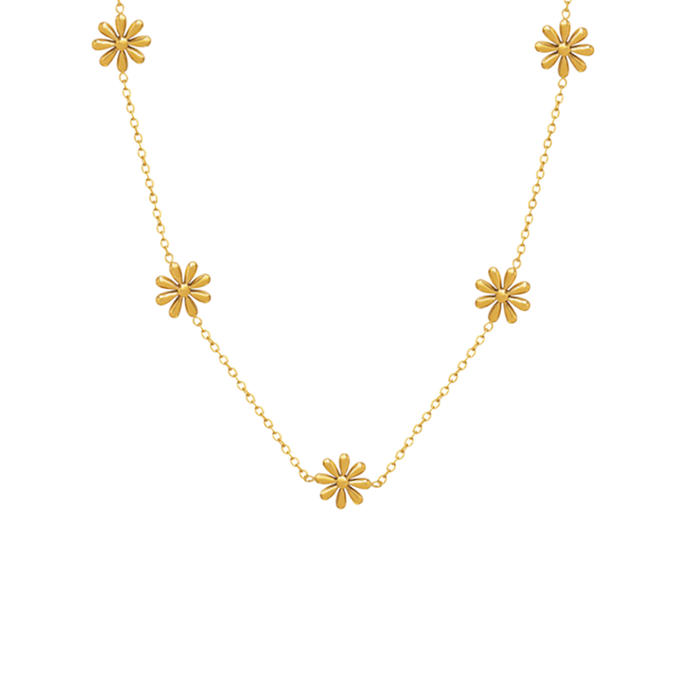 Titanium Gold Plated Necklace