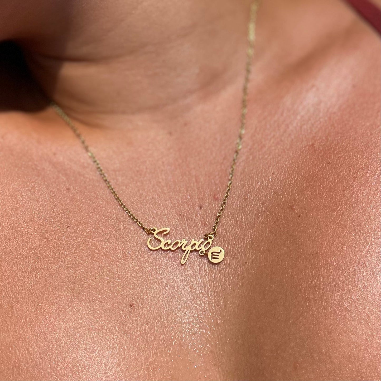 Zodiac Necklace